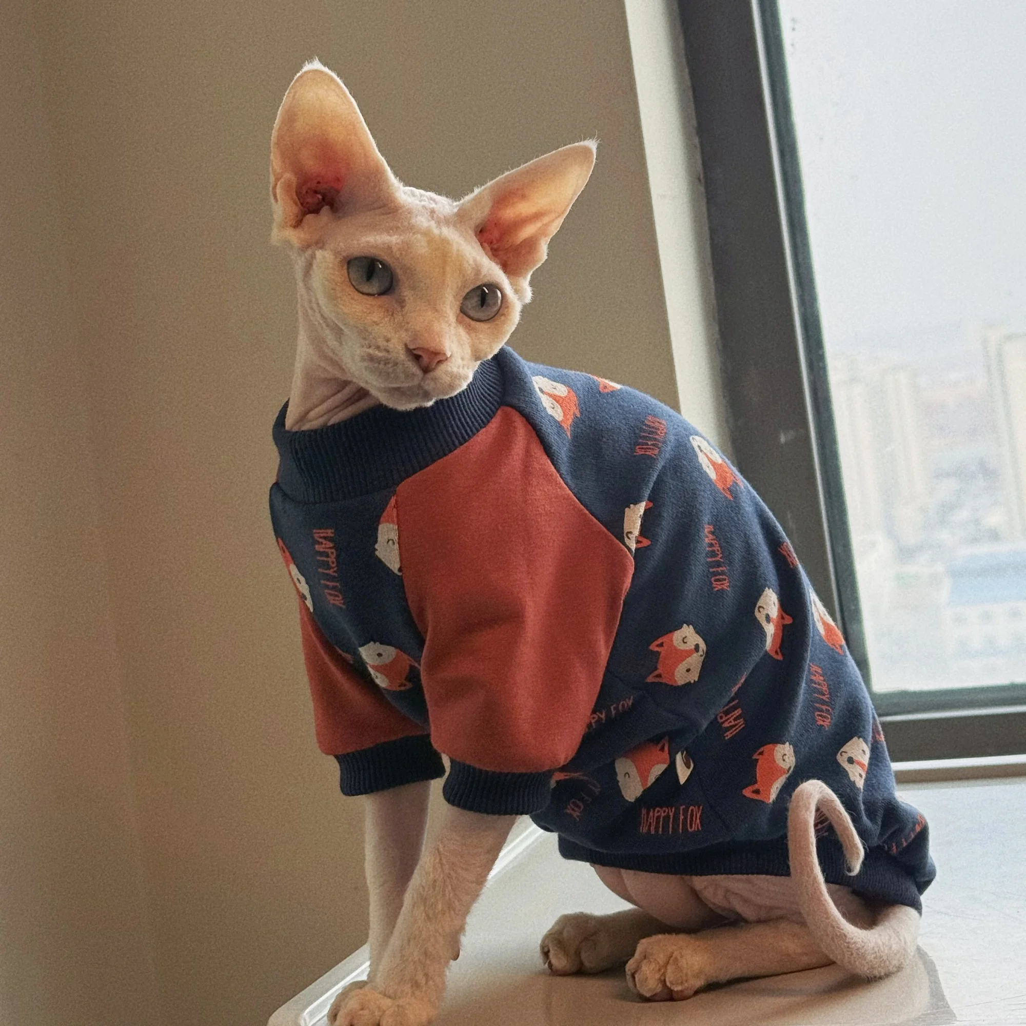 Camiseta elástica para gato Sphynx y Devon Rex en azul-rojo