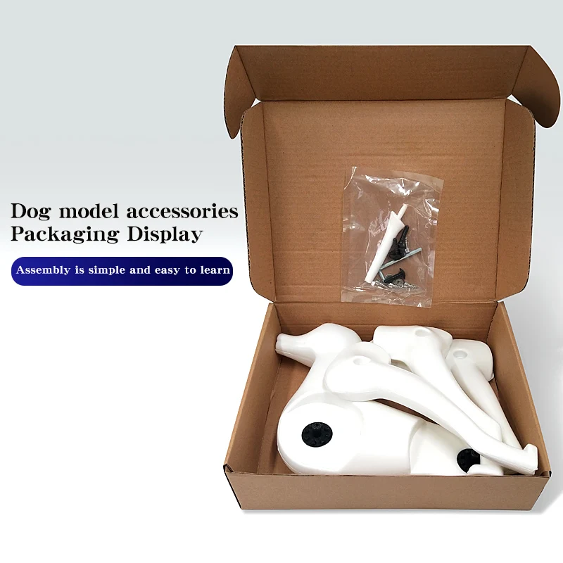 Modelo de simulación de mascota Bichon estándar, perro para práctica de aseo, adorno de pelo falso y estilo, debe usarse con el modelo de esqueleto - imagen 5