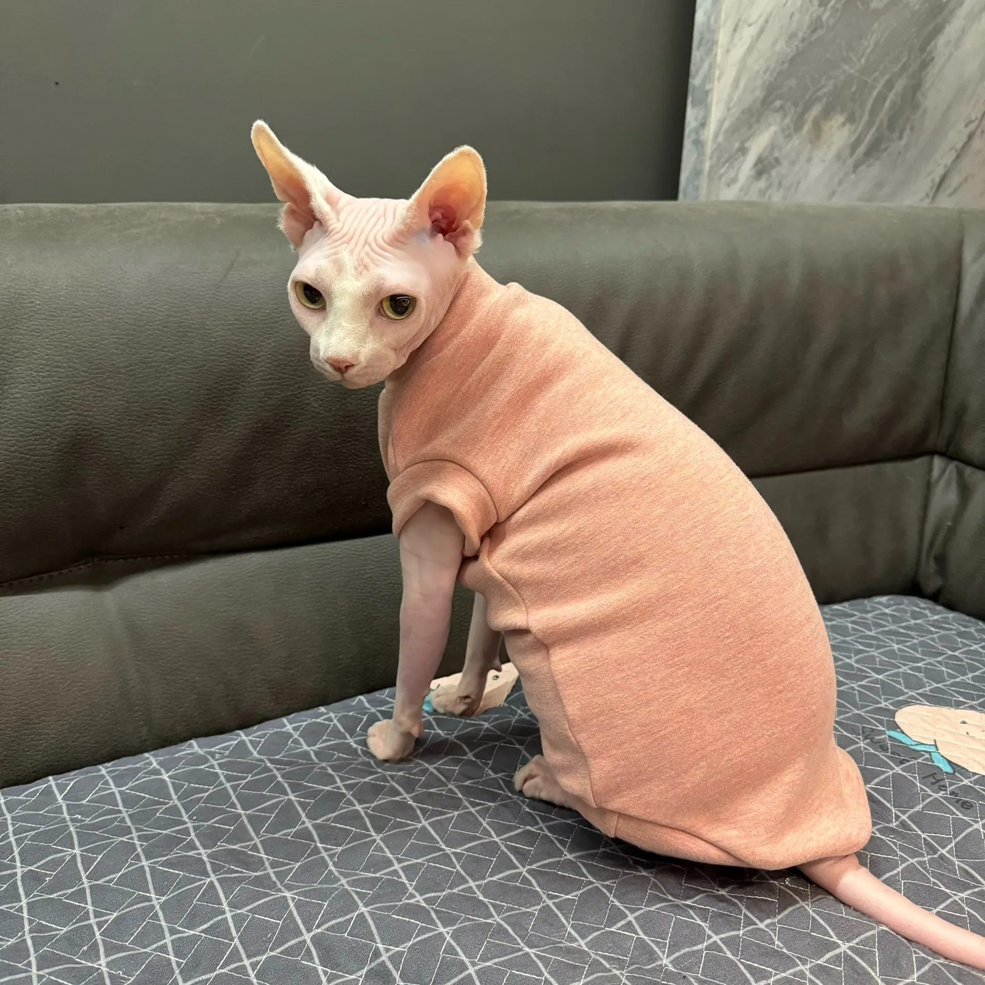 Chaleco de vellón verde de manga corta para Sphynx Cat Sudadera de invierno suave y cálida para gatitos Abrigo rosa grueso para Devon Rex en otoño