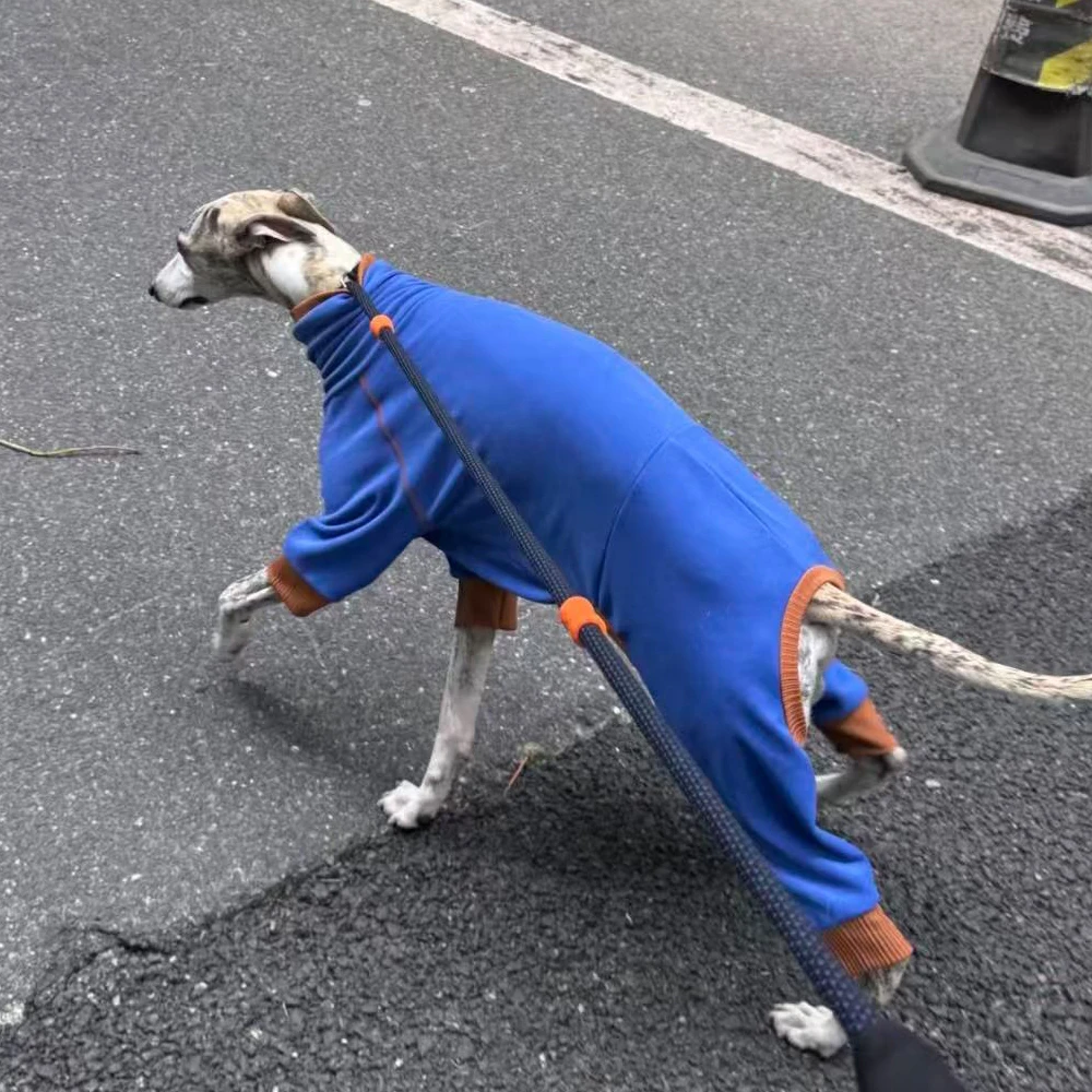 Abrigo fleece azul para Whippet y Bedlington Terrier – Cálido para invierno - imagen 2