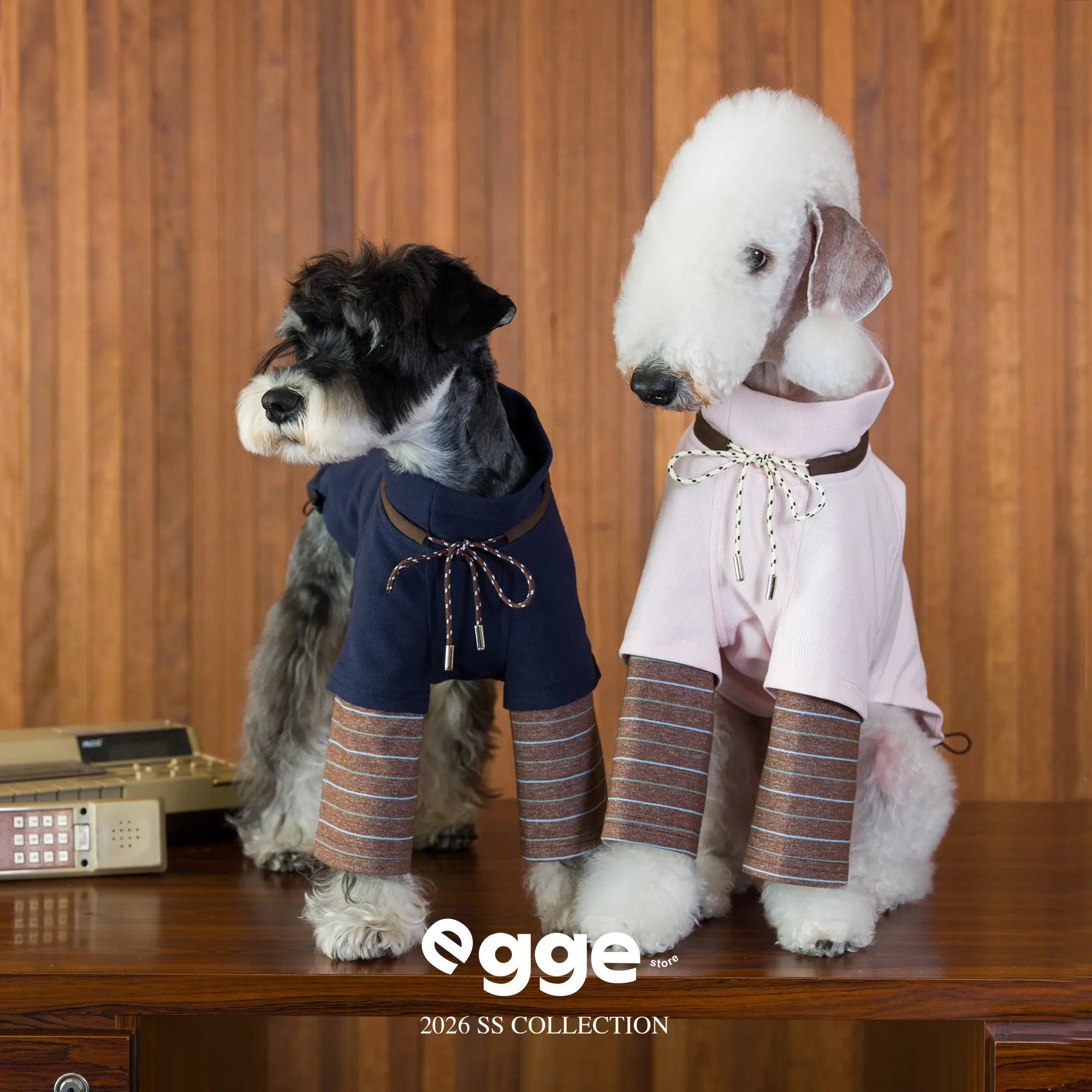 Sudadera con capucha para perros Galgo Italiano estilo universitario