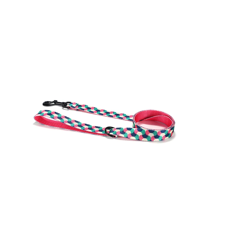 PLATTCO Cuerda para caminar para perros suave y cómoda de nailon de imitación nueva GUMMY WORMS 5 especificaciones 120cm PDL317 - imagen 3