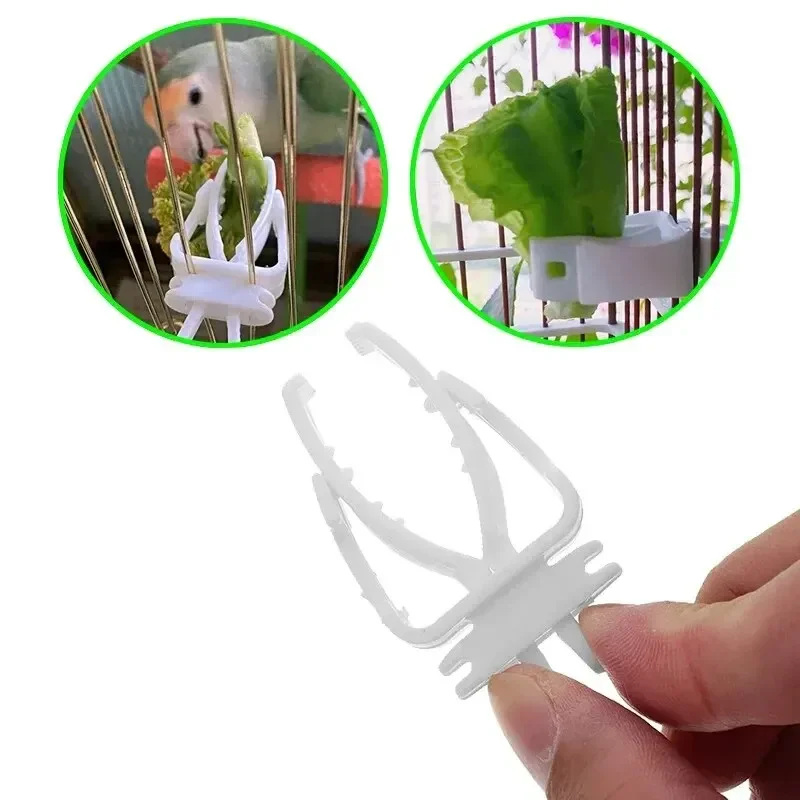 Soporte para comida de pájaros y mascotas, Clip para loros, frutas y verduras, dispositivo alimentador de huesos de sepia, abrazadera, accesorios para jaulas de pájaros, 3 uds. - imagen 3