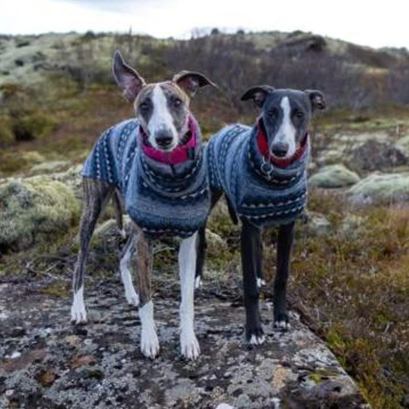 Chaleco Whippet de cuello alto de lana de invierno, ropa de estilo bohemio de galgo italiano, abrigo para perro, ropa de cama elástica suave - imagen 3