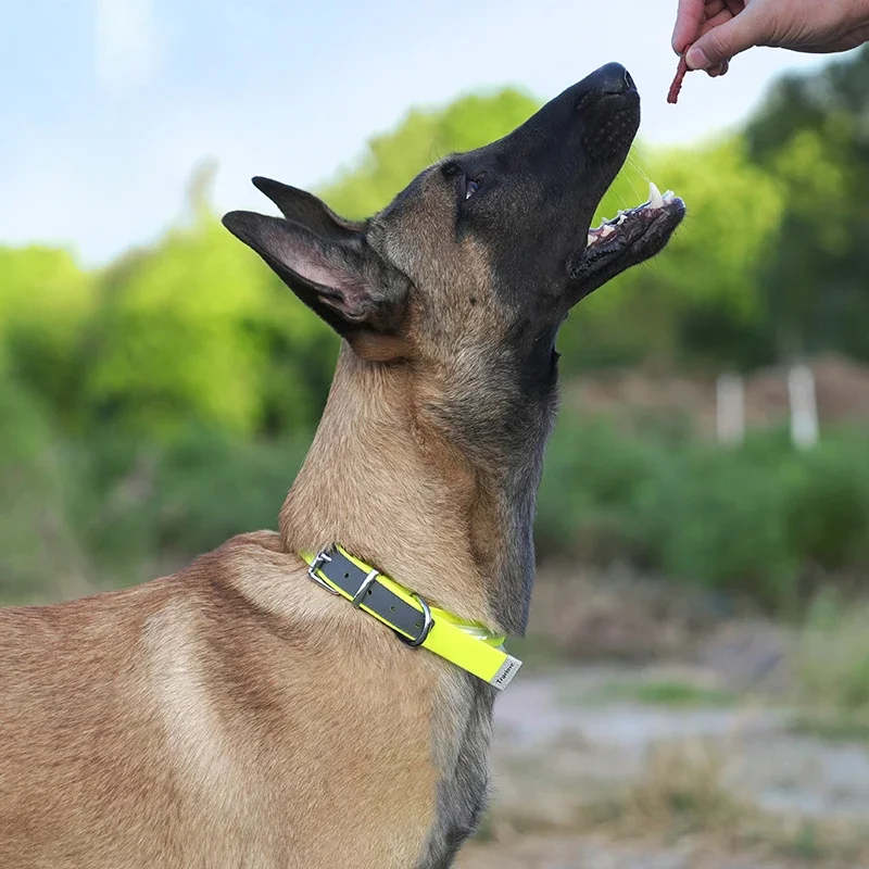 Winhypet-Collar impermeable para perros, desodorante ajustable, collares resistentes a la suciedad y fáciles de limpiar, accesorios para caminar para perros - imagen 2