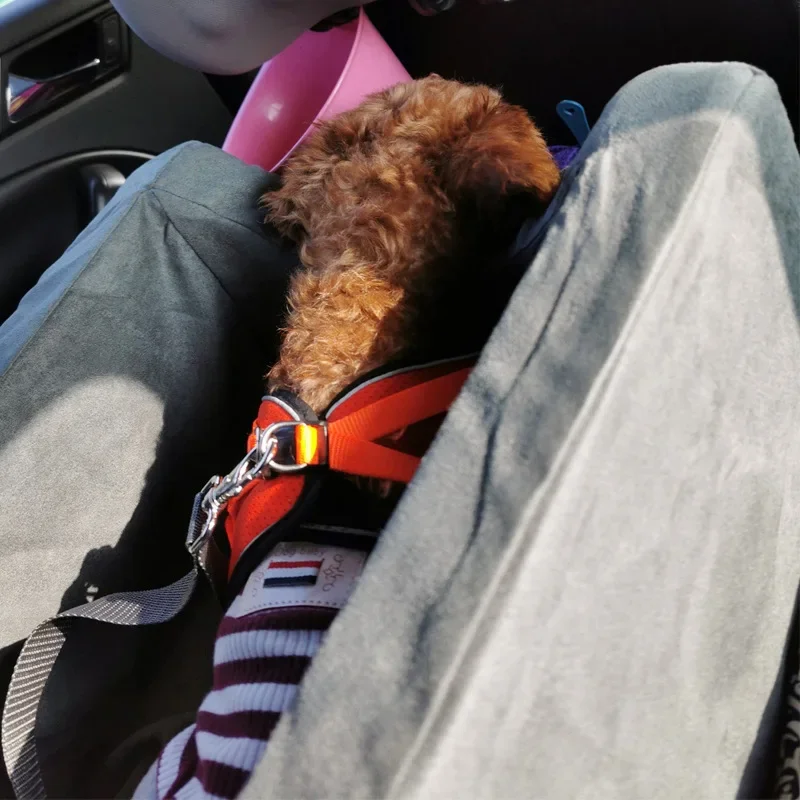 Camas de viaje para perros, asiento de esponja gris para mascotas, muebles portátiles para dormir al aire libre, casa para gatos, suministros para mascotas, accesorios para gatos - imagen 3