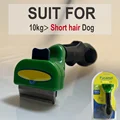 Dog S - Short hair