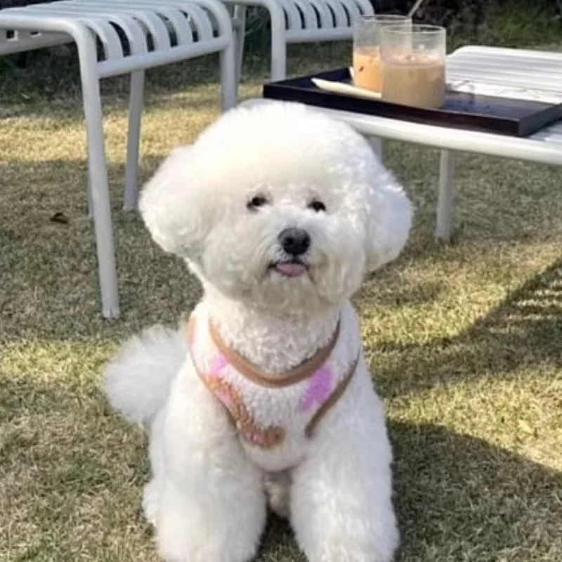 Abrigo para perros, chaqueta de lana para invierno, ropa para perros con estampado de dibujos animados, abrigo para cachorros, chaleco de gato de lujo, chaqueta, disfraces para mascotas, ropa para Chihuahua - imagen 3