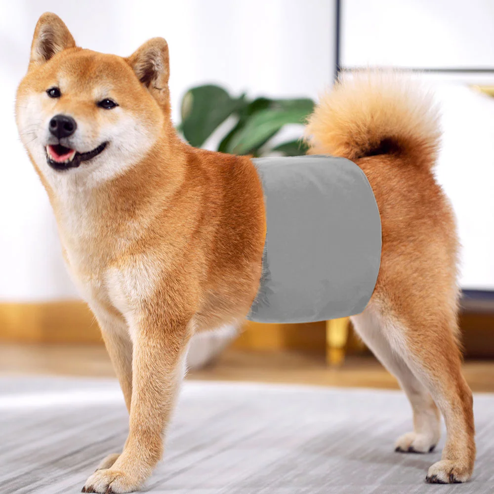 Pañales reutilizables para perros masculinos, pantalones fisiológicos impermeables para perros pequeños y medianos, cinturón protector Abdominal para perros Pug Collie Shepherd - imagen 4