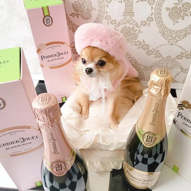 Ins sombrero de felpa para perro, boina cálida para gato maltés, suministros para mascotas, sombreros para perros, gorro para fiesta, cumpleaños - imagen 4