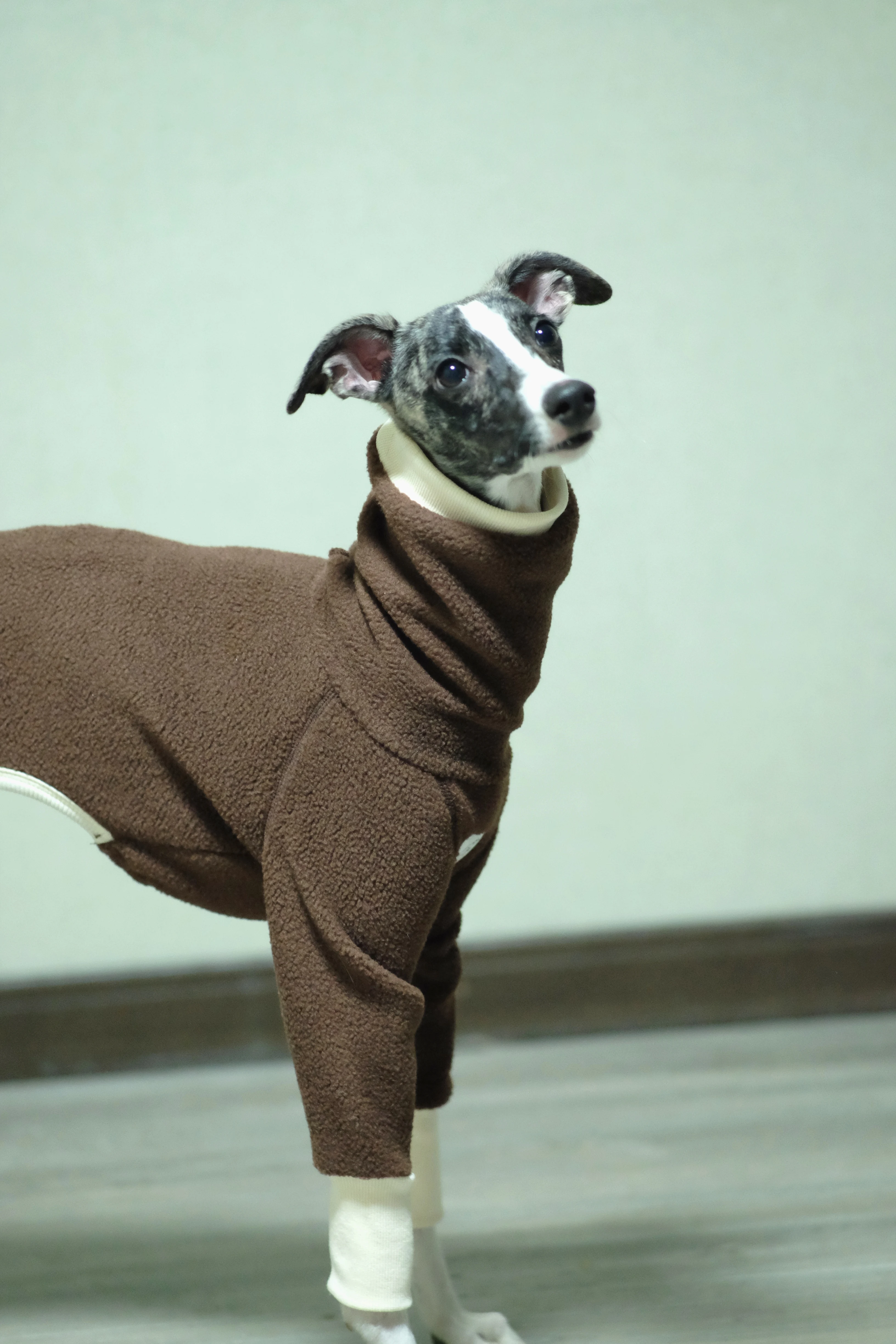 Ropa de invierno galgo italiano mono whippet/ropa para perros/Grishound Jammies/sudadera whippet - imagen 2