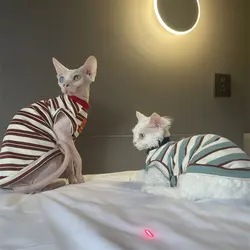 Ropa de algodón para gatos Sphynx y Devon Rex, primavera y verano