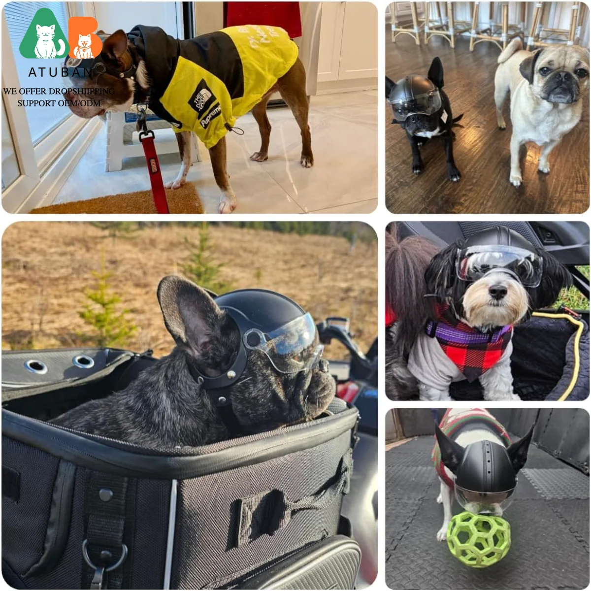 Casco para perro ATUBAN para casco de motocicleta para mascotas de razas pequeñas con visera transparente desplegable para circunstancia de cabeza de perros pequeños OEM/ODM - imagen 3