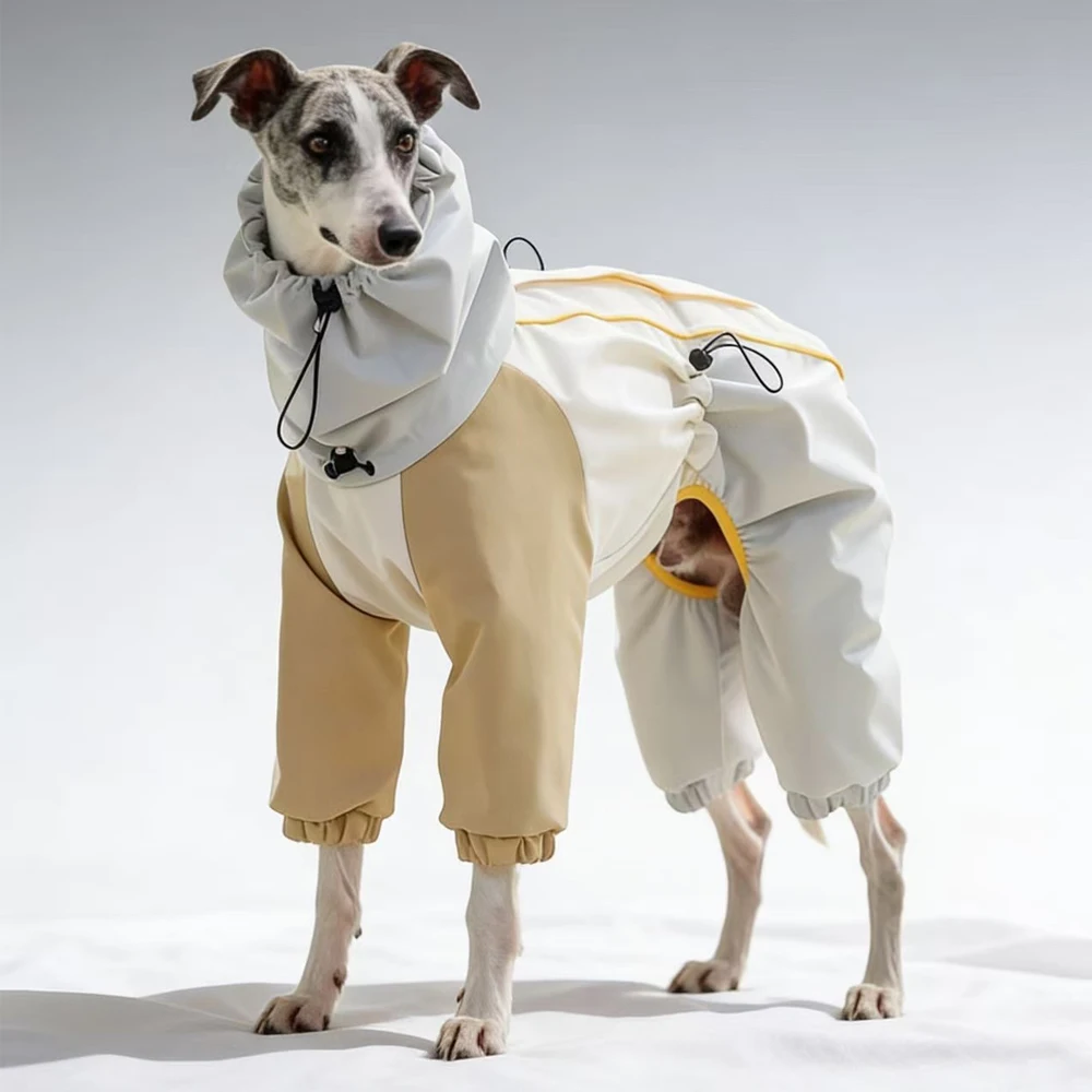 Chaqueta impermeable para perros pequeños y medianos con cuello alto