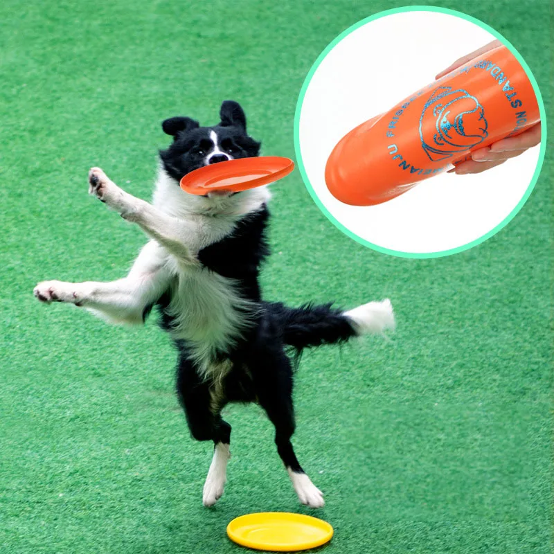 Disco volador para perros, flotante y resistente a mordidas práctico - imagen 5