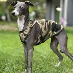 Chaleco camuflaje ligero para perros: Greyhound, Whippet y Bedlington