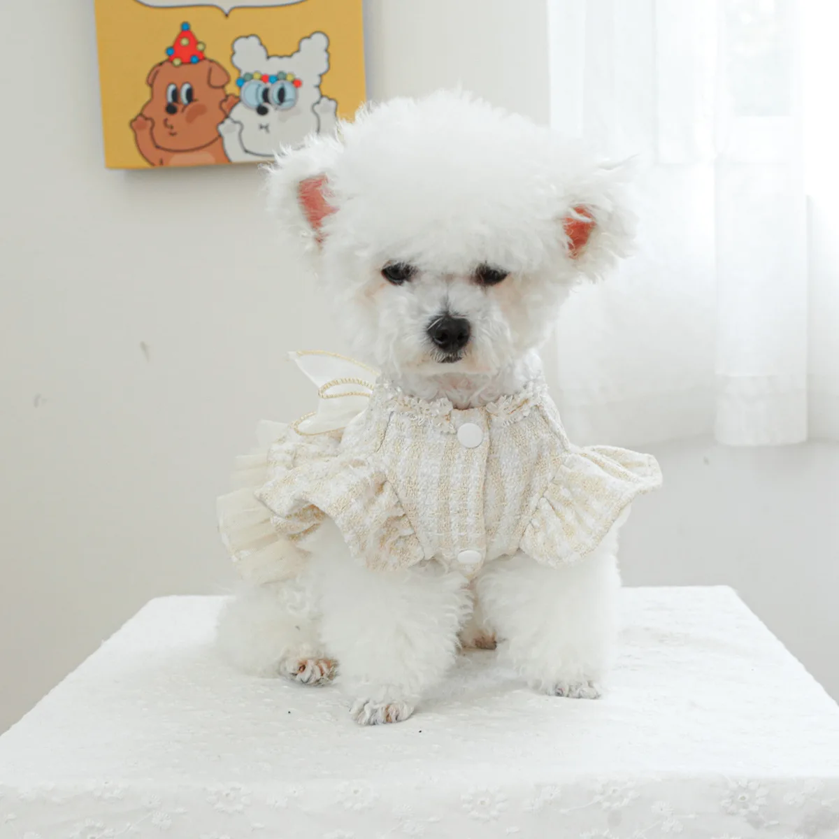 Vestido con lazo de encaje, falda en gasa para perros y gatos pequeños - imagen 2