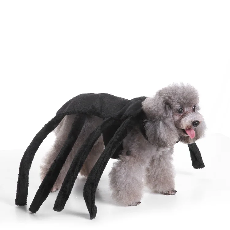Ropa de Halloween para mascotas, accesorios de vestir divertidos para vacaciones, disfraz de murciélago de transformación para perros, disfraz de gato, productos para mascotas - imagen 4