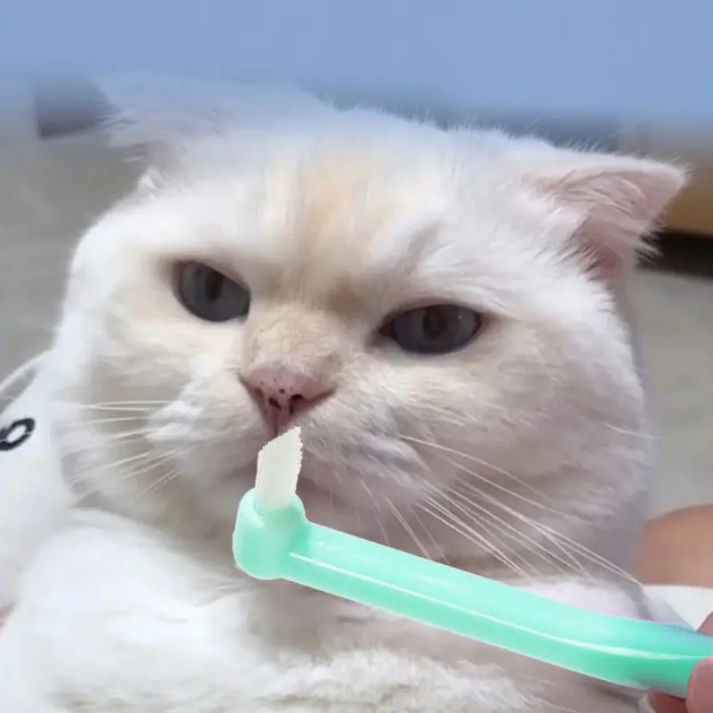 Cepillo de dientes para gatos, cuidado bucal, cepillos de dientes para mascotas, cabezales pequeños, cepillo de dientes para gatos, limpieza bucal, pelo suave, cepillo de dientes para gatos, suministros para mascotas - imagen 3