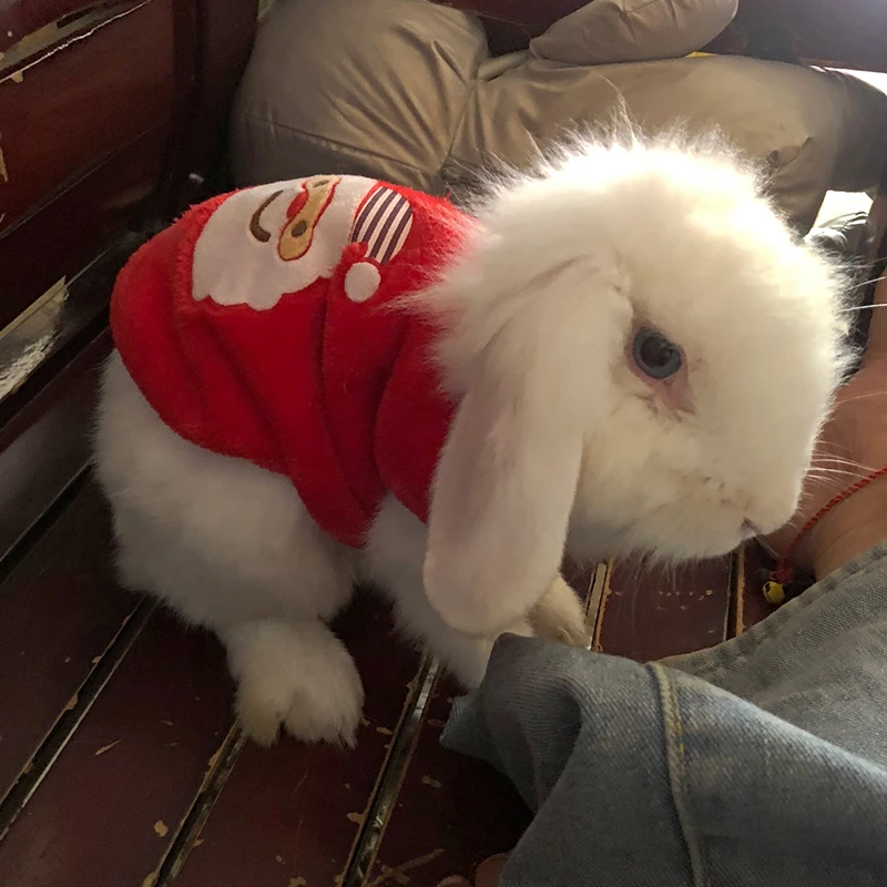 Chaqueta de conejito de otoño e invierno, ropa cálida de lana para animales pequeños para conejo, gatito, hámster, chaleco con estampado bonito para mascotas - imagen 4