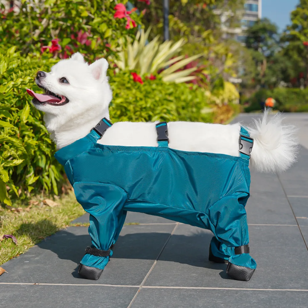 Ropa para perros, impermeable cerrado para el vientre, mono para perros pequeños y medianos, pantalones impermeables para Chihuahua Yorkie con zapatos, monos a prueba de lluvia - imagen 4