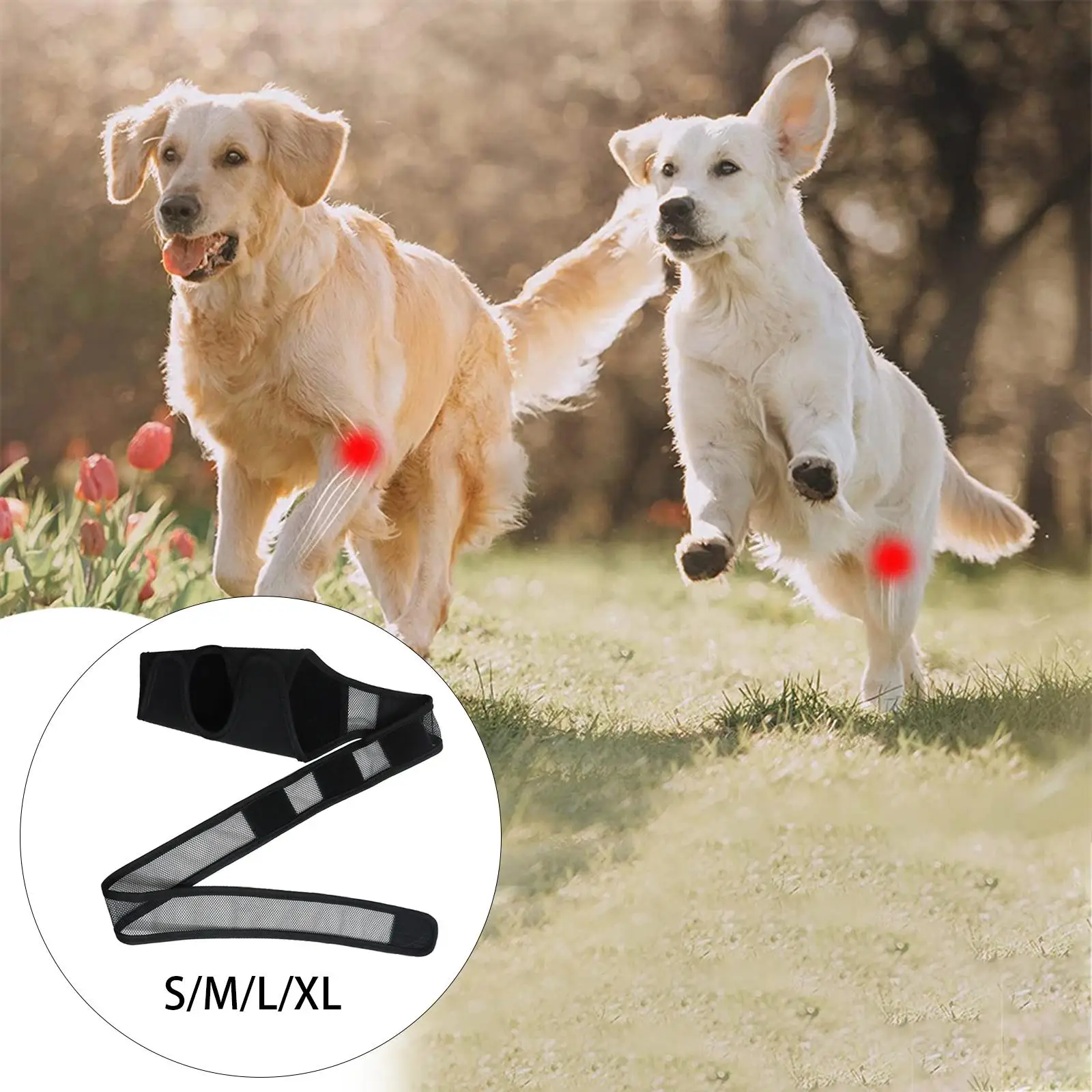 pet Rear Leg Hock Protective Sleeve Support Compression Wrap Knee Pad Protects Wounds for Prevents Injuries