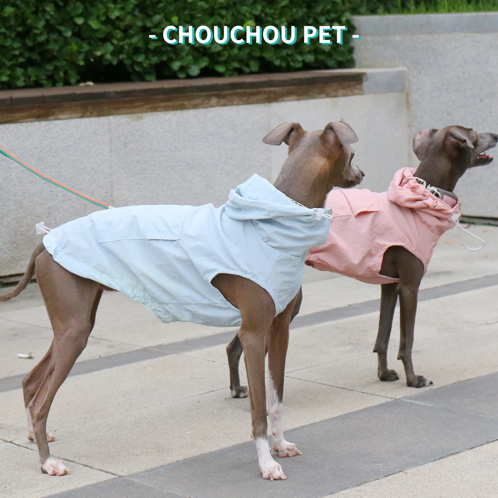 Otoño galgo Whippet Iggy chaleco con capucha para mascotas impermeable e impermeable ropa para perros con cremallera ajustable