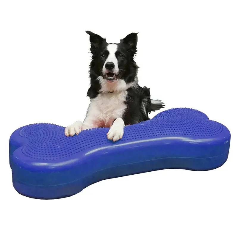 Ayudas de entrenamiento para perros, juguetes para tratar el comportamiento, equilibrio de Fitness, movimiento muscular para cachorros, agilidad, accesorios para perros, suministros de rehabilitación - imagen 5