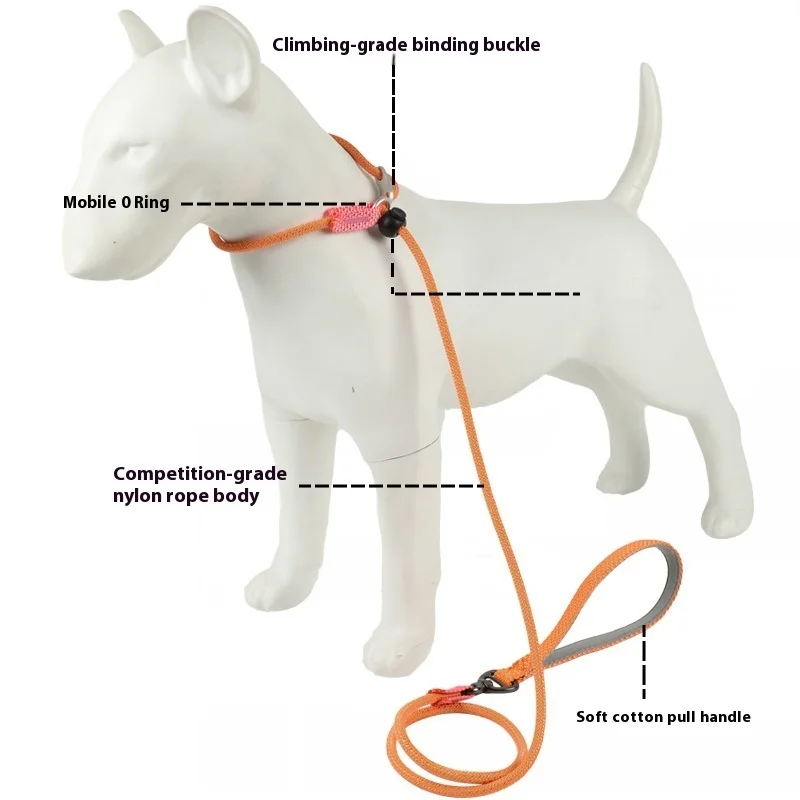 Cuerda redonda para perros, Collar de cadena P ligero para perros pequeños y medianos, correa para caminar, suministros para mascotas - imagen 4