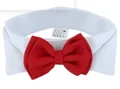 Double bow tie