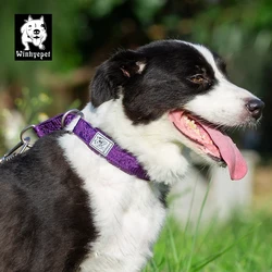 Collar para perros sin tirones con luz LED y reflectante 3M