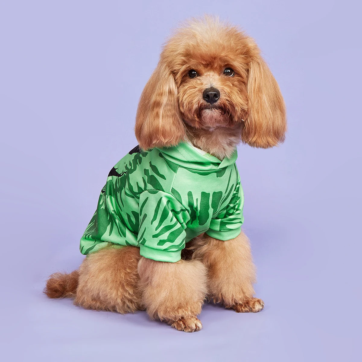 Sudaderas con capucha de Halloween para perros y gatos, camisa con cara de calabaza aterradora, ropa cómoda para mascotas, cuello alto para cachorros, H - imagen 3