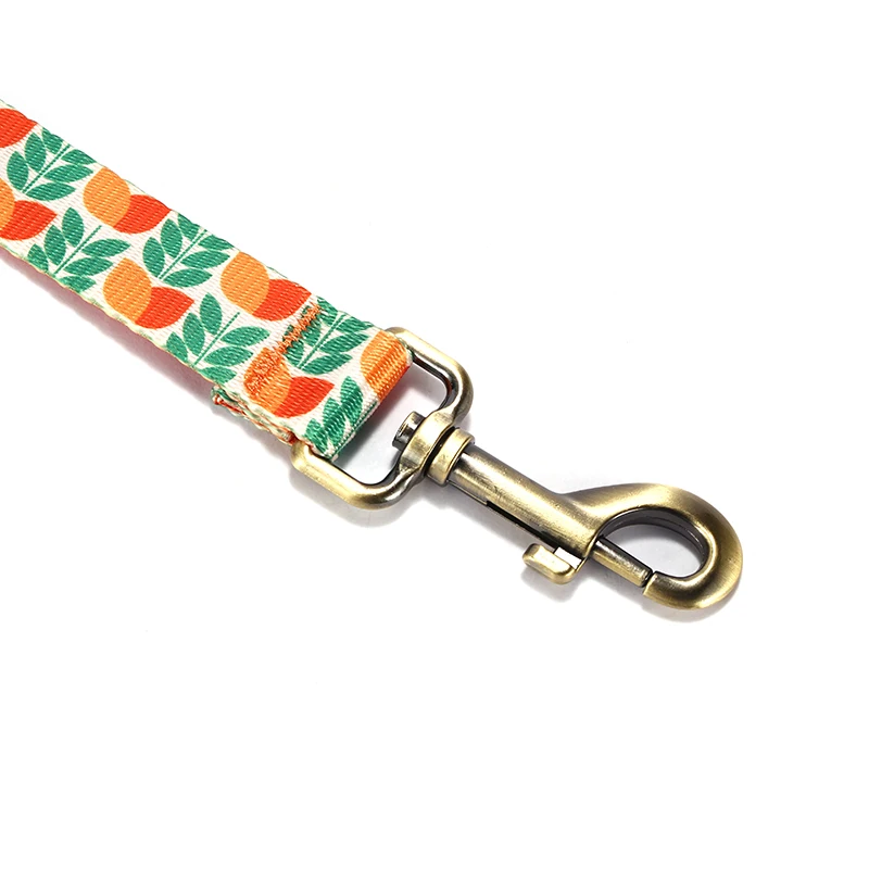 Correa de arnés para perros PLATTCO, arnés suave ajustable para perros, correa para mascotas pequeñas y medianas, correa de entrenamiento para caminar al aire libre PDL348 - imagen 4