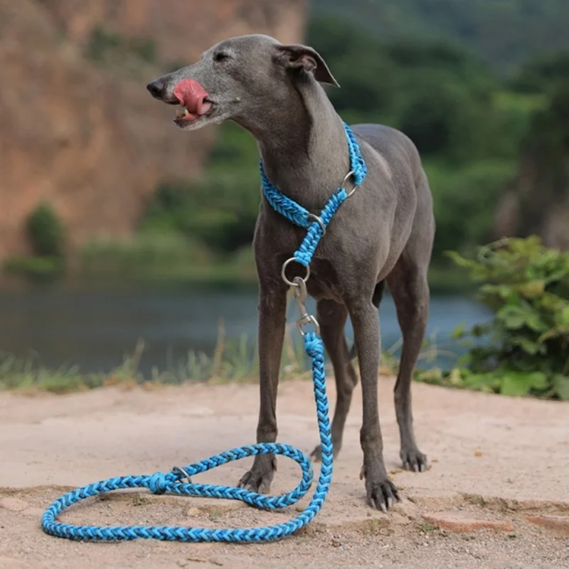 Collar de perro puramente tejido a mano, Collar y correa para mascotas tejidos a mano, correa semi-P, previene el tirón explosivo, collar reflectante para perro