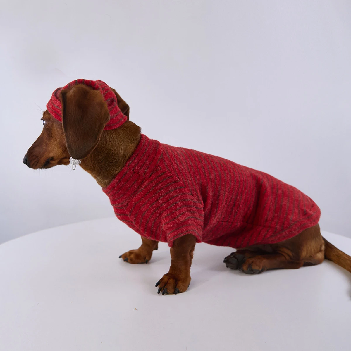 Abriguito de lana para perro salchicha – Pijama invierno con gorro - imagen 3