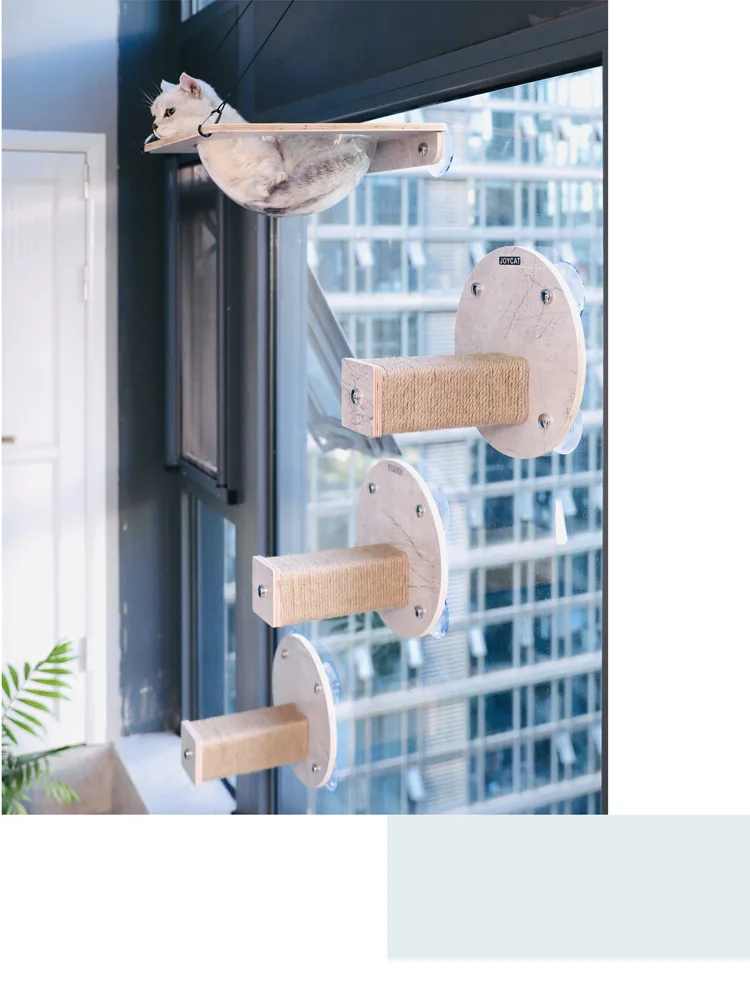 Un árbol de gato con una parte superior