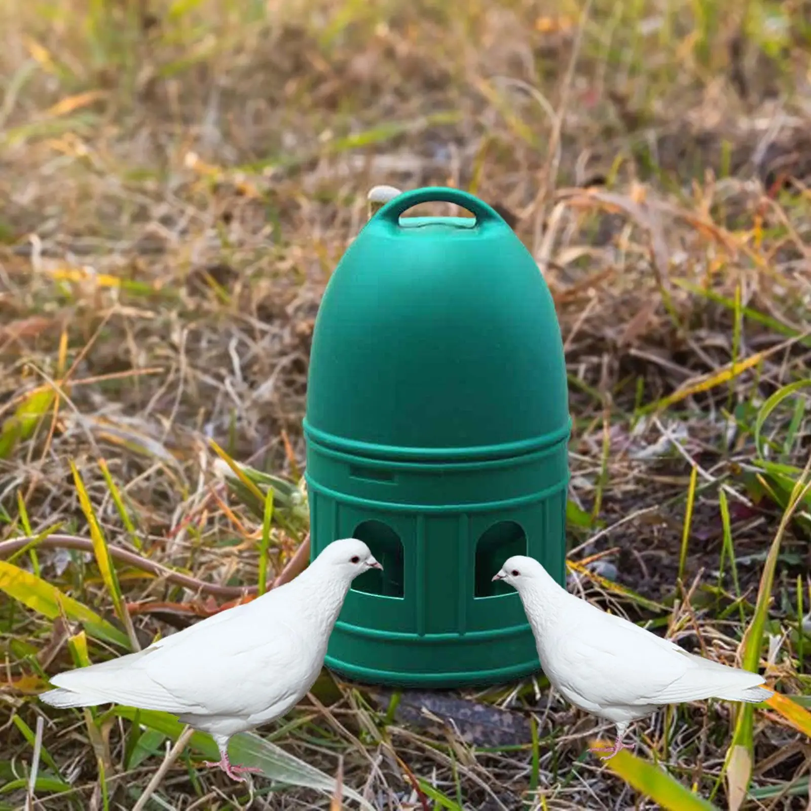 2x Pigeon Drinker Automatic Feeder 10L Watering Cup for Parrot Coop Quail