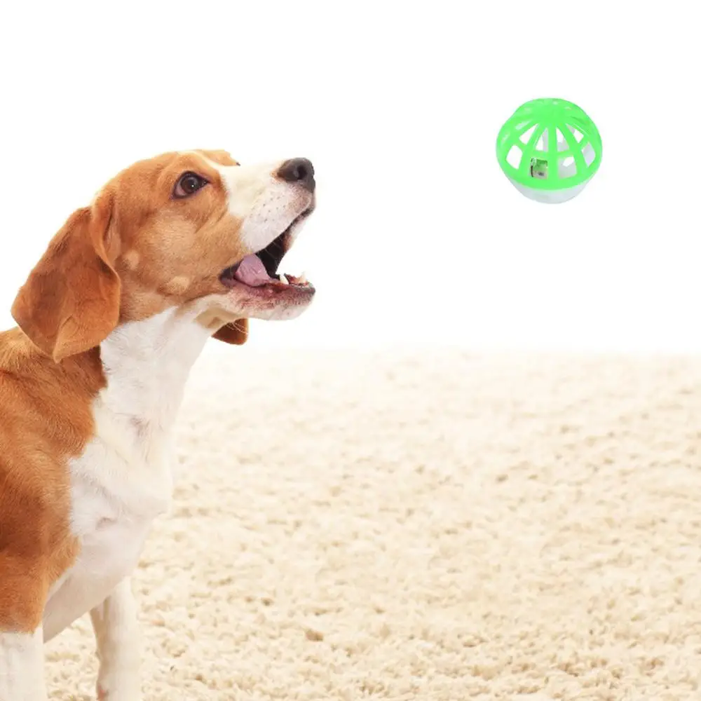 Un perro con la boca abierta y la lengua mirando una bola verde