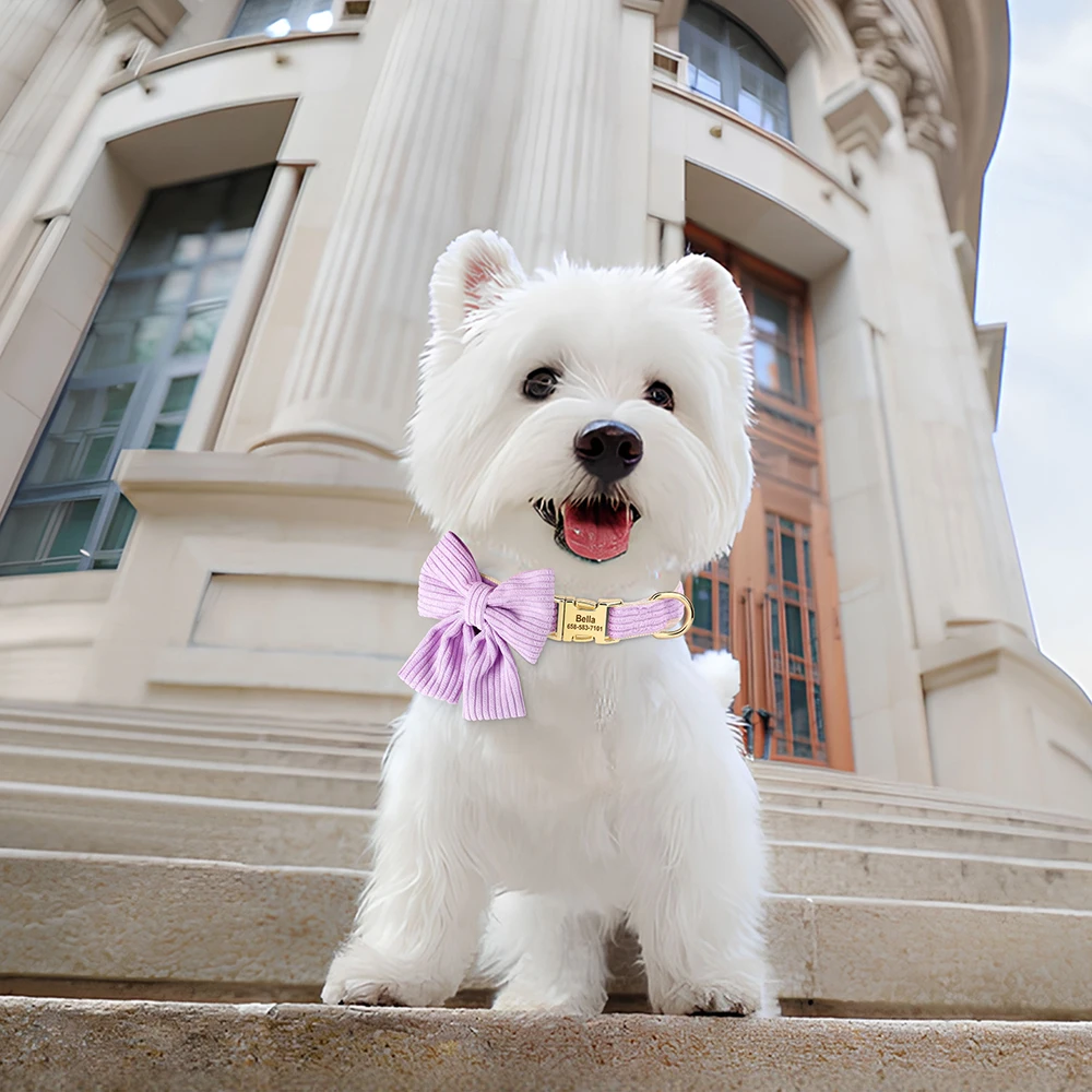 Collar de perro personalizado, collares ajustables para cachorros, Collar de identificación personalizado para mascotas con lazo, bonito para perros pequeños y medianos, Chihuahua - imagen 5