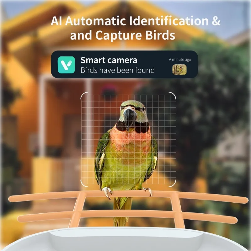 Monitor alimentador de pájaros con energía Solar, cámaras Wifi, alimentadores de identificación automática impermeables para exteriores, productos para mascotas, accesorios - imagen 3