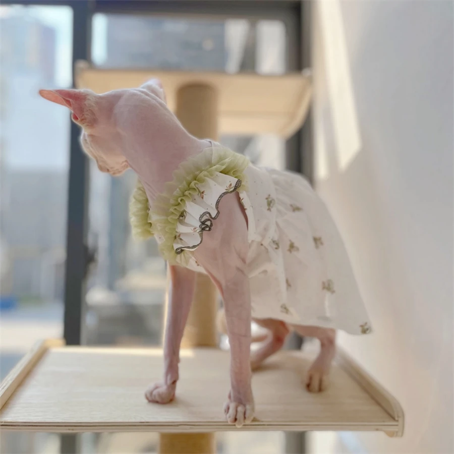Vestido floral de encaje verde para Sphynx Cat Tirantes de verano para gata Falda transpirable para gatitos Camiseta dulce para Devon Rex - imagen 5