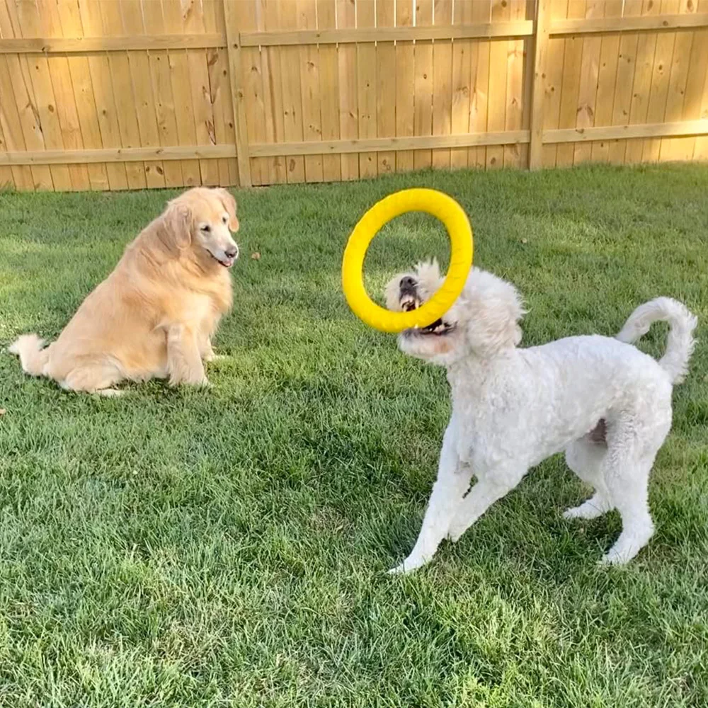 Pack de juegos para perros medianos y grandes – Disco flotante, anillo y pelota - imagen 3