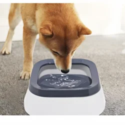 Bebedero antiderrema para perros y gatos