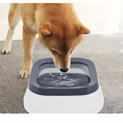 Bebedero antiderrema para perros y gatos
