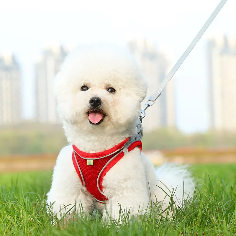 Correa para perros y gatos, chaleco anticaída, arnés de pecho reflectante transpirable para mascotas, correa para perros y gatos pequeños, suministros para mascotas al aire libre - imagen 2