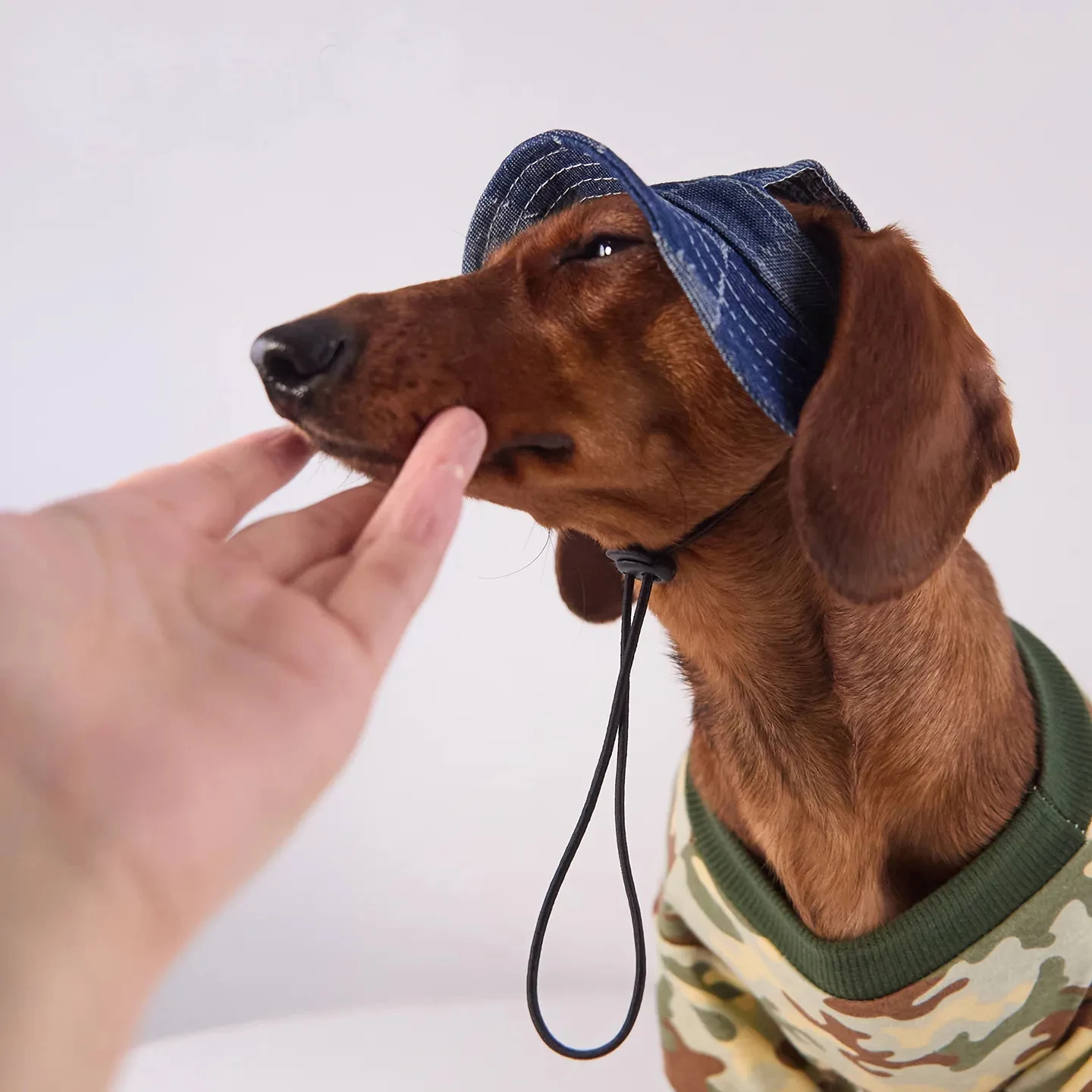 Gorra solar ligera para perro y gatos - protección fresca - imagen 5