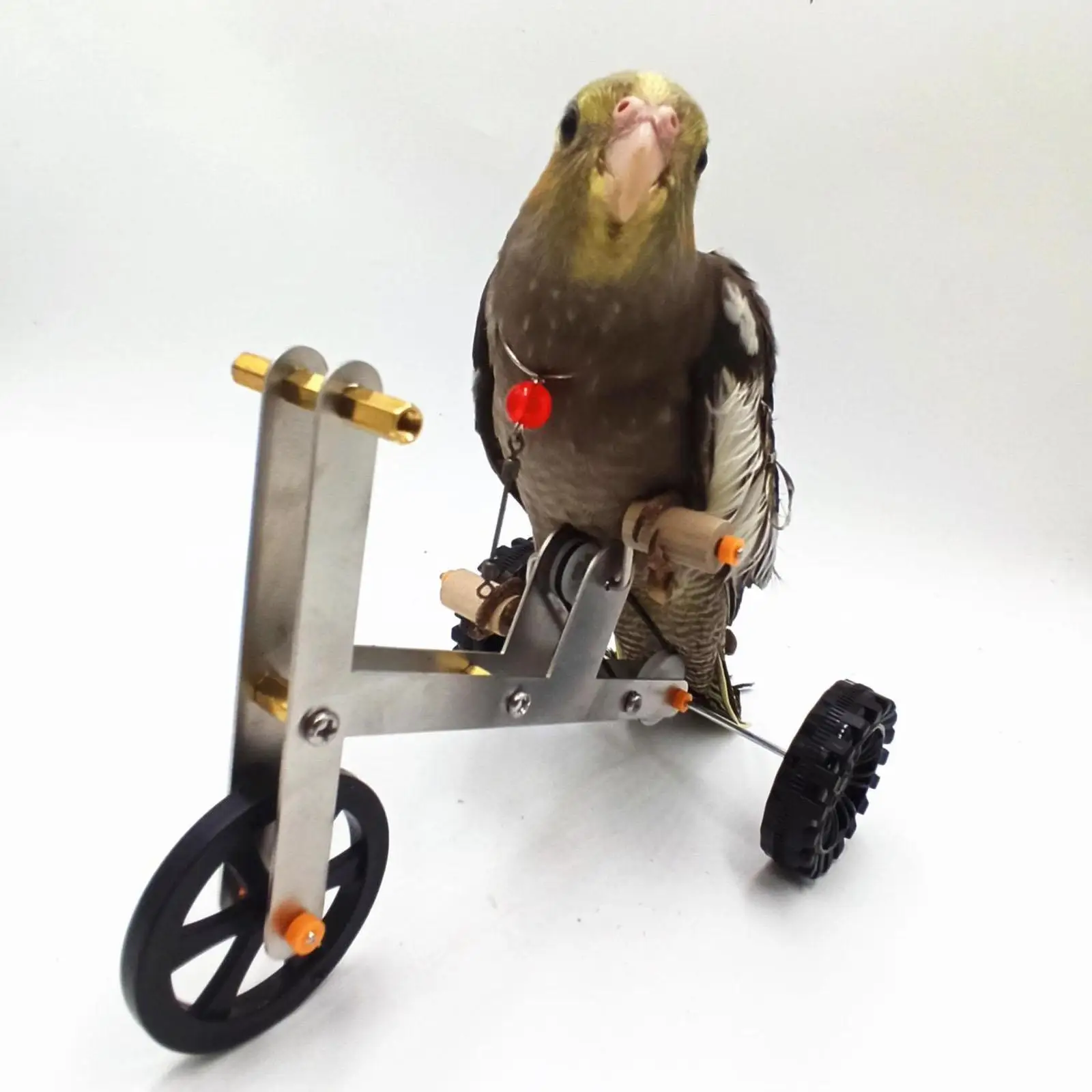 Parrot Bike Toy Parrot Intelligence Training Toy for Parakeet Parrots Macaws