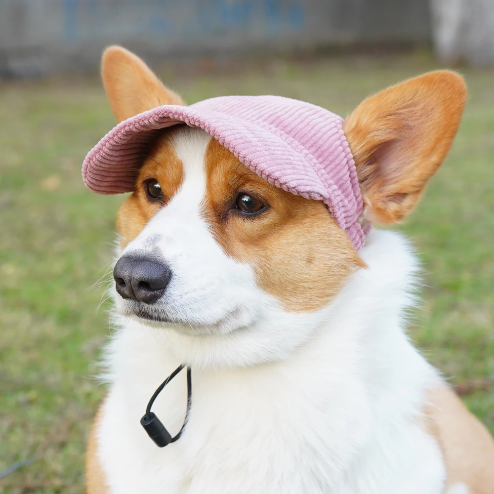 Gorra de pana para perros pequeños – Orificios en orejas - imagen 5