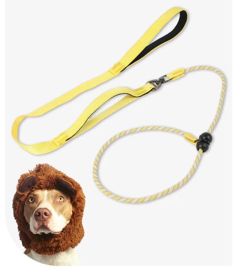 Correa para perro de doble mango vista completa