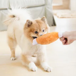 Hueso sonoro masticable para perros y gatos – Limpia dientes